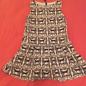 JCrew Equestrian Party Dress Size 10